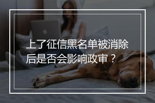 上了征信黑名单被消除后是否会影响政审？