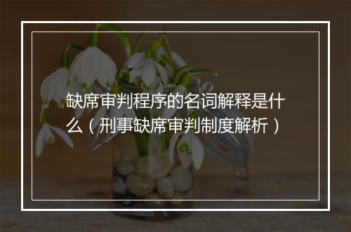 缺席审判程序的名词解释是什么（刑事缺席审判制度解析）