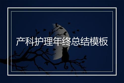产科护理年终总结模板