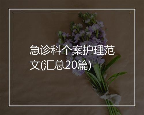 急诊科个案护理范文(汇总20篇)