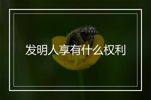 发明人享有什么权利
