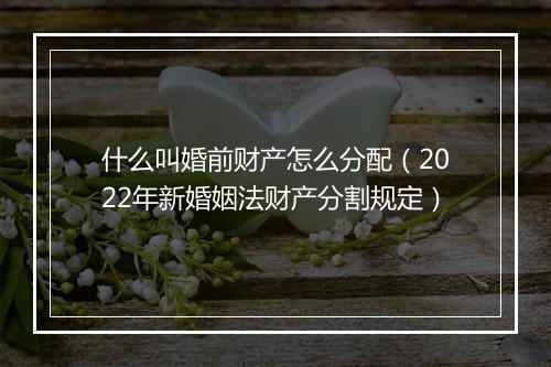 什么叫婚前财产怎么分配（2022年新婚姻法财产分割规定）