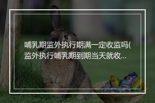 哺乳期监外执行期满一定收监吗(监外执行哺乳期到期当天就收监么)