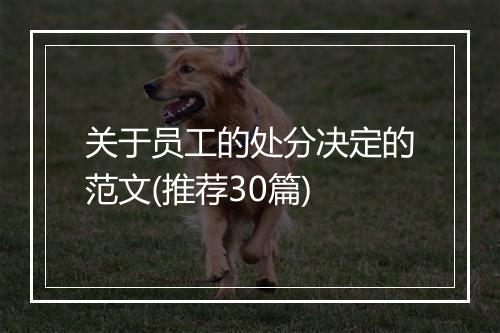 关于员工的处分决定的范文(推荐30篇)