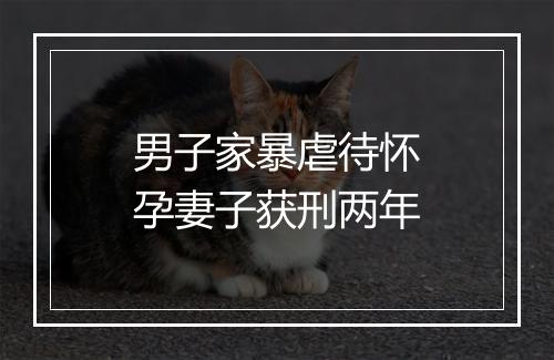 男子家暴虐待怀孕妻子获刑两年