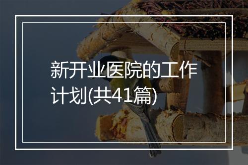 新开业医院的工作计划(共41篇)