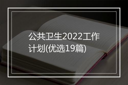 公共卫生2022工作计划(优选19篇)