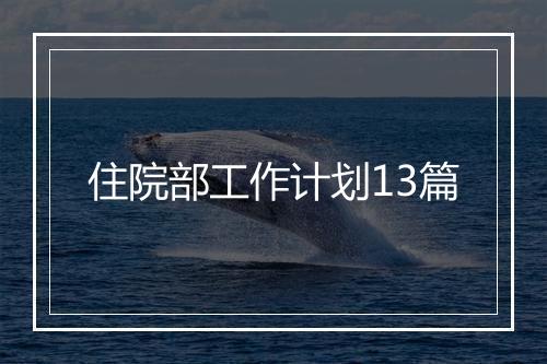 住院部工作计划13篇