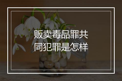 贩卖毒品罪共同犯罪是怎样