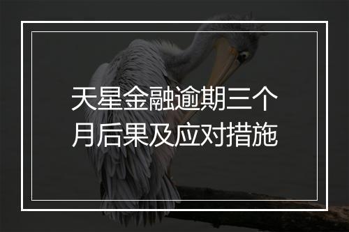 天星金融逾期三个月后果及应对措施