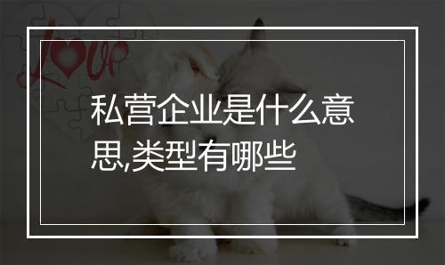 私营企业是什么意思,类型有哪些
