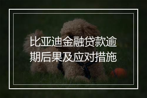 比亚迪金融贷款逾期后果及应对措施