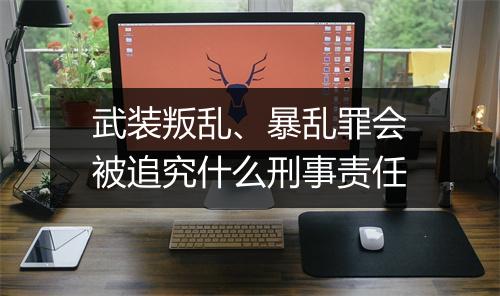 武装叛乱、暴乱罪会被追究什么刑事责任