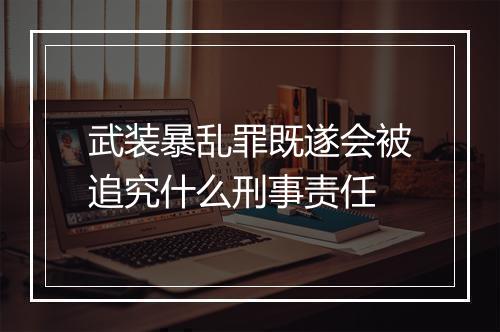武装暴乱罪既遂会被追究什么刑事责任