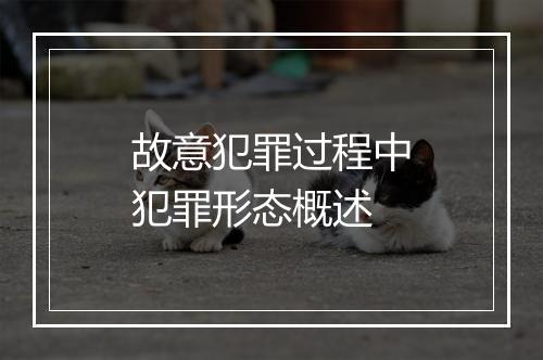 故意犯罪过程中犯罪形态概述