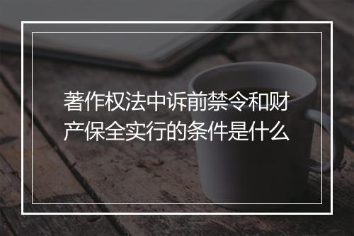 著作权法中诉前禁令和财产保全实行的条件是什么