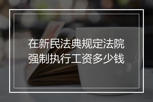在新民法典规定法院强制执行工资多少钱