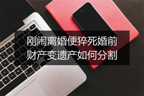 刚闹离婚便猝死婚前财产变遗产如何分割