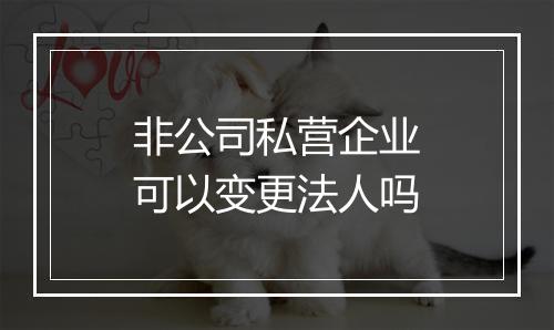 非公司私营企业可以变更法人吗