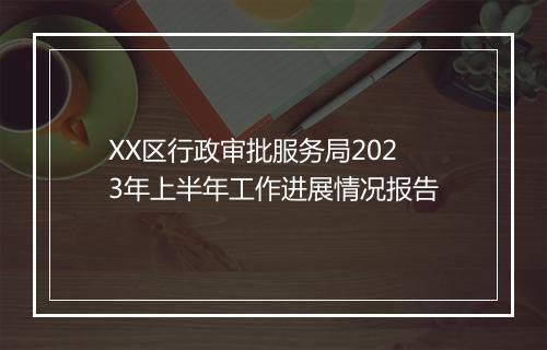 XX区行政审批服务局2023年上半年工作进展情况报告