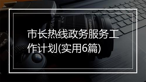 市长热线政务服务工作计划(实用6篇)