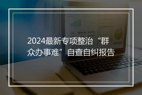 2024最新专项整治“群众办事难”自查自纠报告