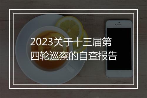2023关于十三届第四轮巡察的自查报告