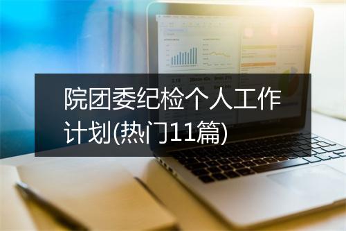 院团委纪检个人工作计划(热门11篇)