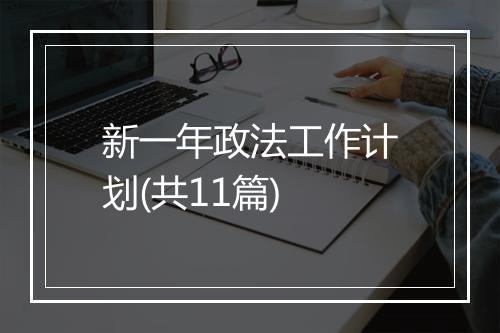 新一年政法工作计划(共11篇)