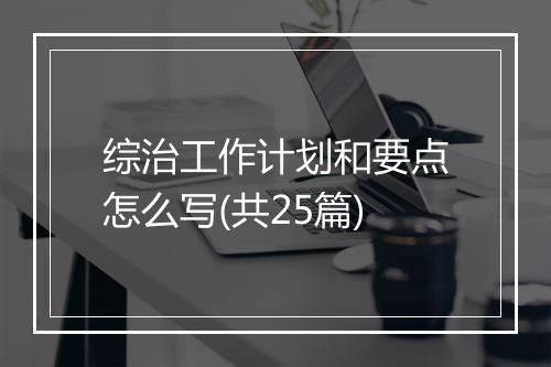 综治工作计划和要点怎么写(共25篇)
