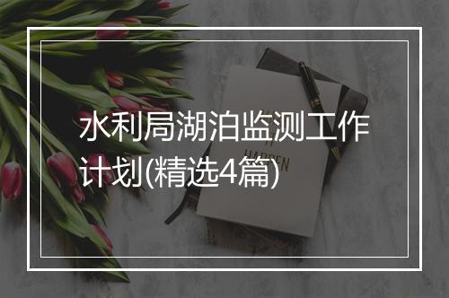 水利局湖泊监测工作计划(精选4篇)