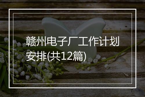 赣州电子厂工作计划安排(共12篇)