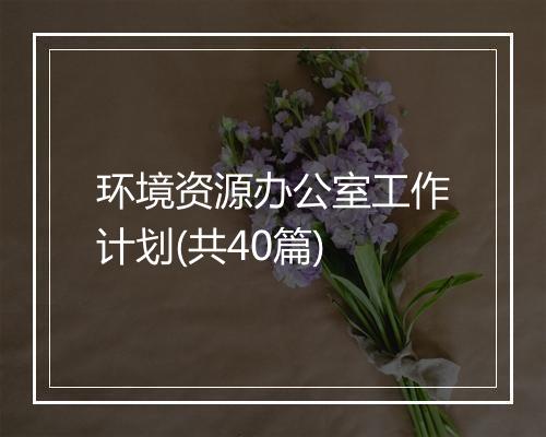 环境资源办公室工作计划(共40篇)