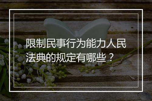 限制民事行为能力人民法典的规定有哪些？
