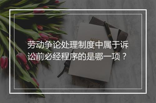 劳动争论处理制度中属于诉讼前必经程序的是哪一项？