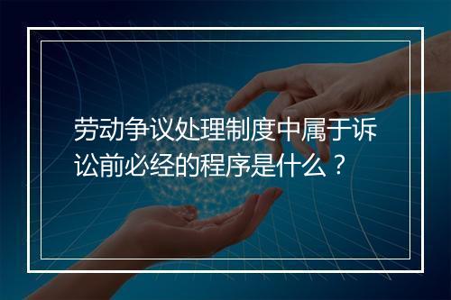 劳动争议处理制度中属于诉讼前必经的程序是什么？
