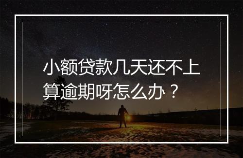 小额贷款几天还不上算逾期呀怎么办？