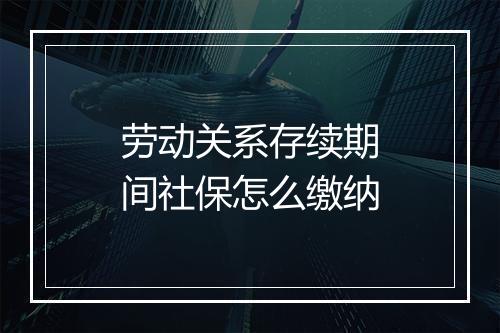劳动关系存续期间社保怎么缴纳