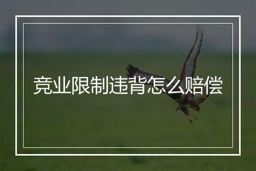 竞业限制违背怎么赔偿