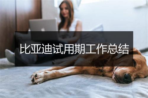 比亚迪试用期工作总结