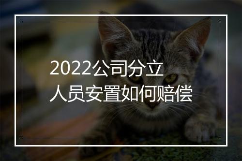 2022公司分立人员安置如何赔偿