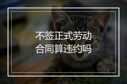 不签正式劳动合同算违约吗