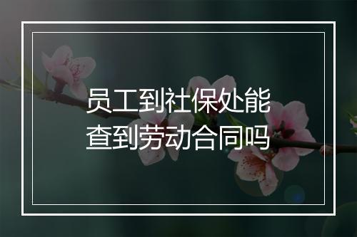 员工到社保处能查到劳动合同吗