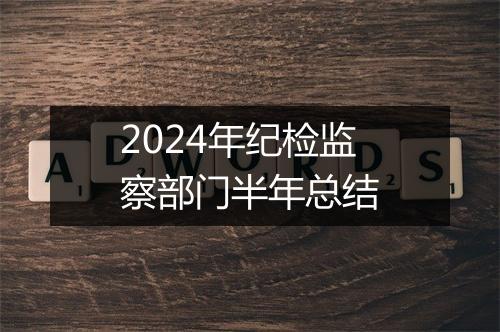 2024年纪检监察部门半年总结