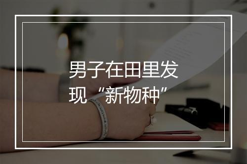 男子在田里发现“新物种”