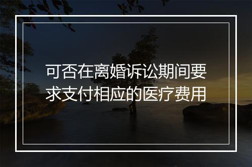 可否在离婚诉讼期间要求支付相应的医疗费用
