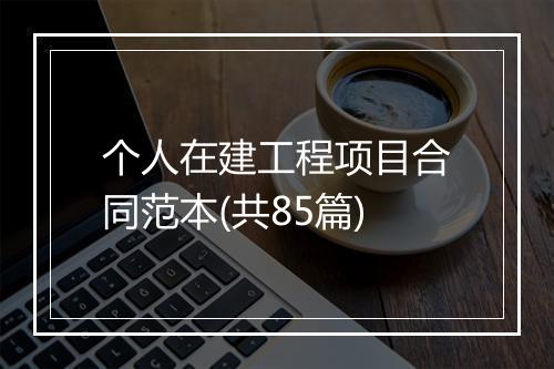 个人在建工程项目合同范本(共85篇)