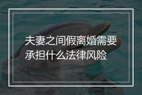 夫妻之间假离婚需要承担什么法律风险