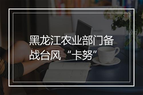 黑龙江农业部门备战台风“卡努”
