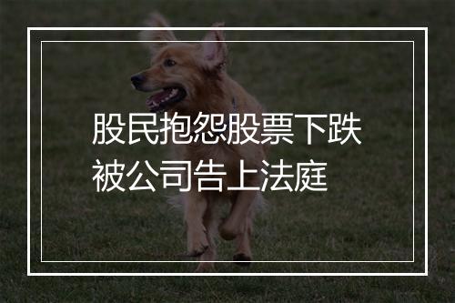 股民抱怨股票下跌被公司告上法庭